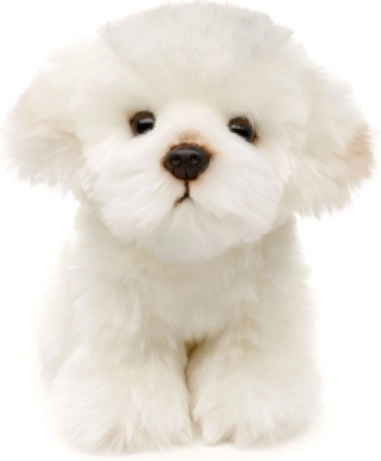 Diseño eco-friendly y seguro