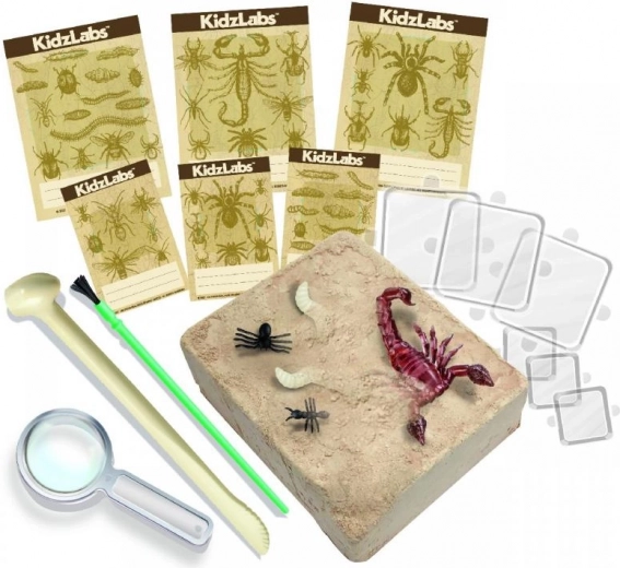 Equipo completo y tarjetas educativas