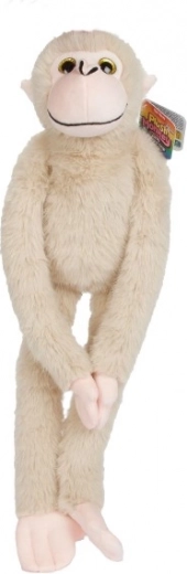 Apto para niños a partir de 24 meses