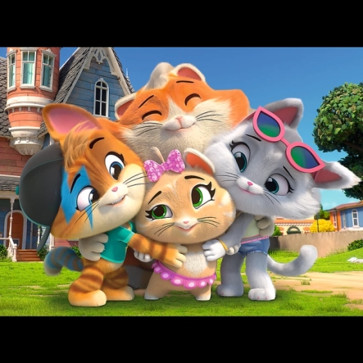 Cada gato tiene su propia personalidad