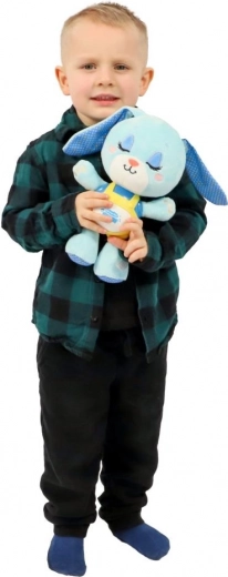 Luz suave y melodías para un sueño tranquilo