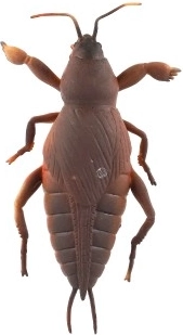 Material súper elástico y estirable