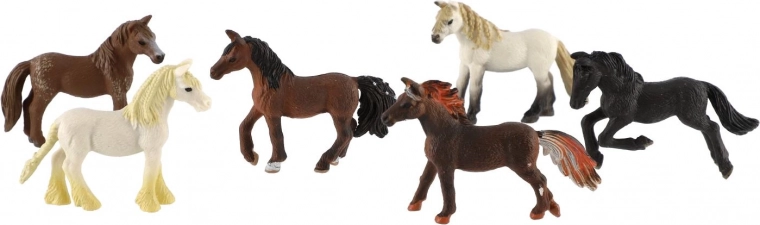 6 caballitos realistas en un solo paquete