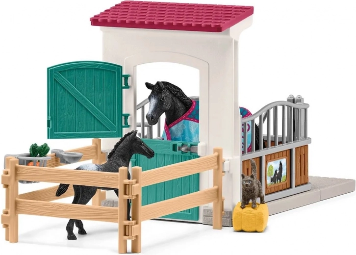 Box completo para el cuidado del caballo