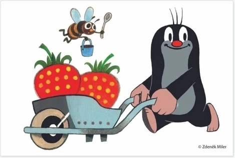 Madera auténtica y fabricación checa