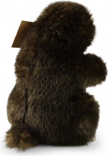 Seguro desde el nacimiento