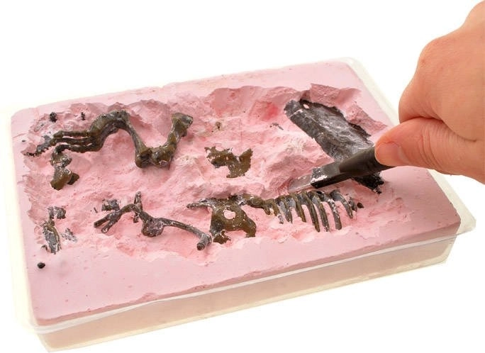 Diversión educativa para niños