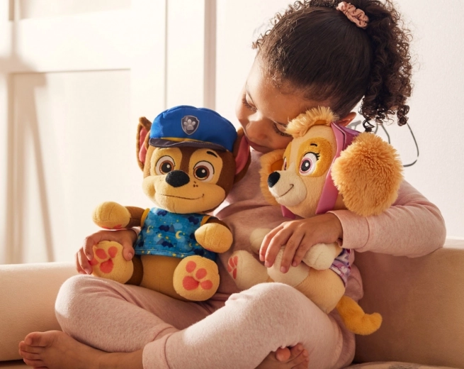 Personajes favoritos de PAW PATROL