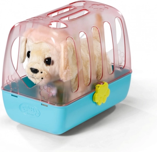 Transportín de viaje para guardarlo con seguridad