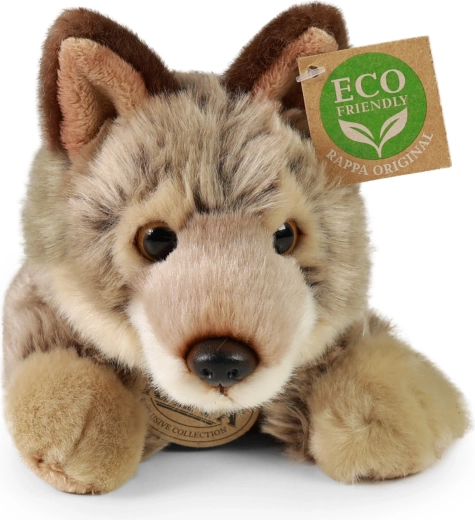 Original RAPPA: calidad que perdura