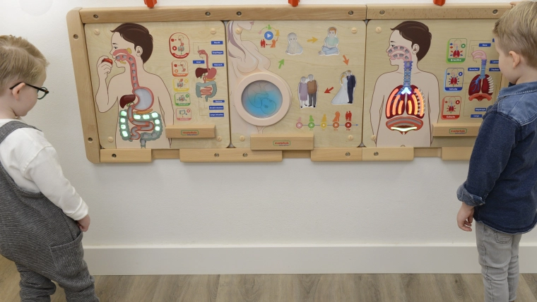Diseño mural seguro para escuelas y hogar