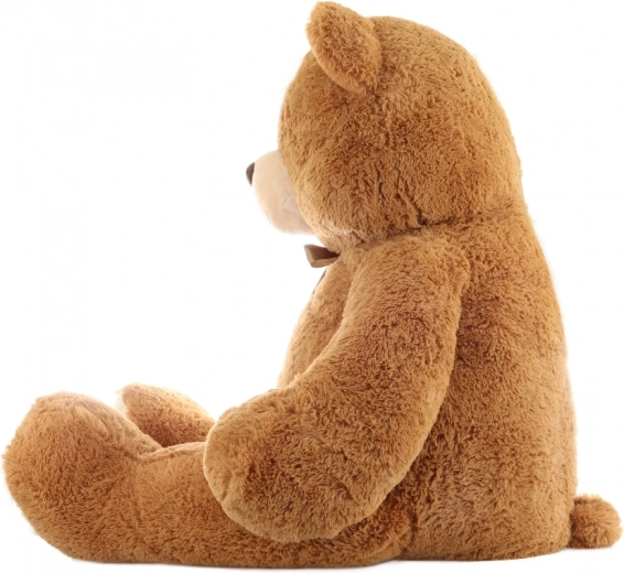 Lazo elegante como detalle de diseño