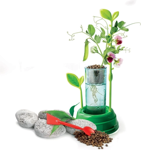 Recipiente transparente para observar las raíces