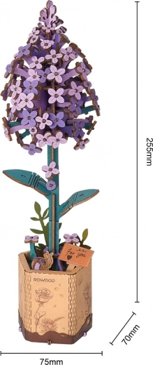 Proyecto creativo en pocos minutos