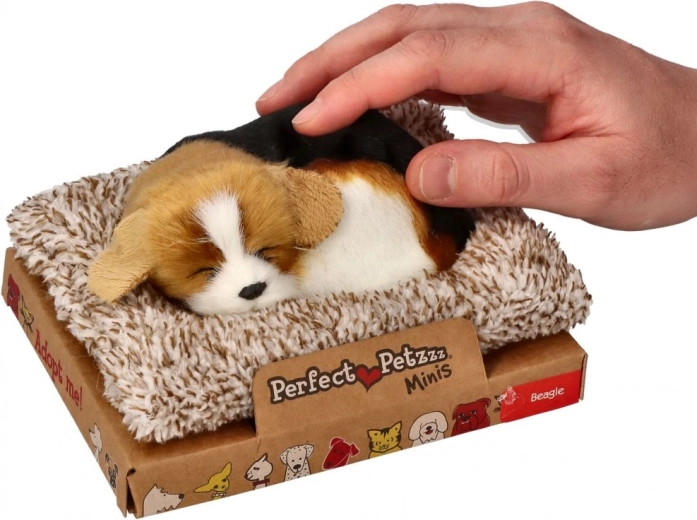 Cama suave para mayor comodidad