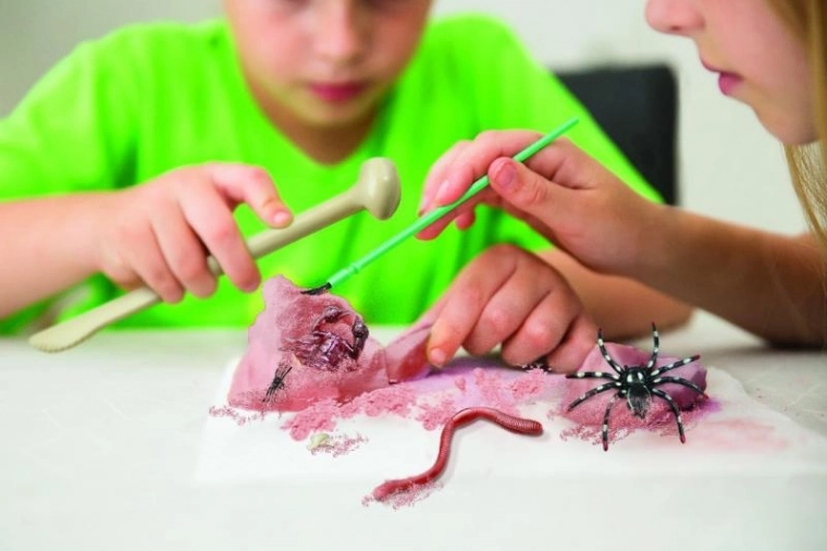 Excava y descubre insectos ocultos