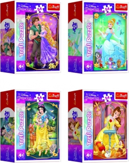 Cuatro mágicos motivos de princesas