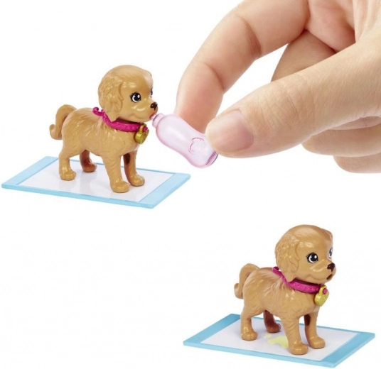 Transformación mágica de los perritos