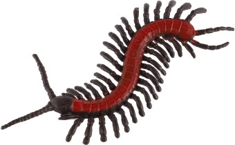 8 especies diferentes en una práctica bolsa