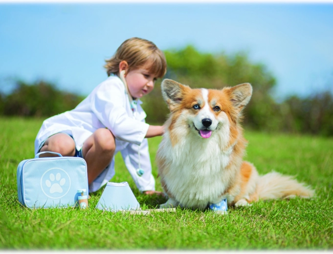 Fomenta la empatía y el juego de roles