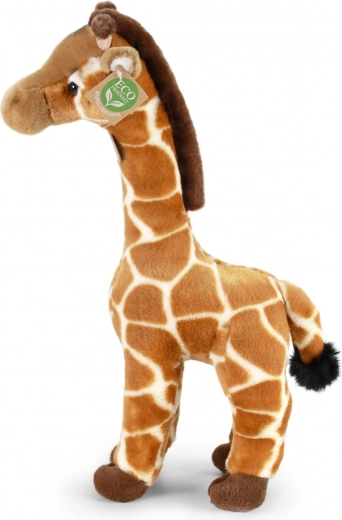 Apariencia realista y diseño de pie