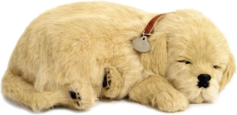 Respiración realista y sueño tranquilo