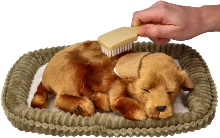 Cuidado interactivo sin preocupaciones