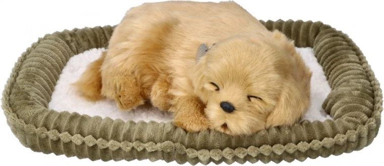 Cama mullida incluida