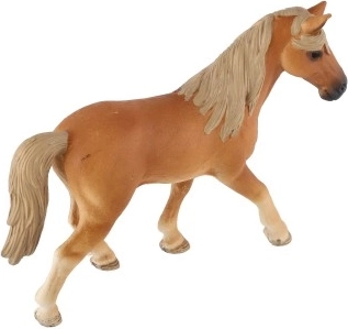 Apto para la educación