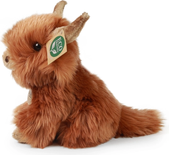 Apariencia auténtica de la vaca Highland