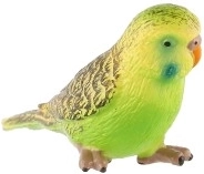 Ideal para enseñanza y colecciones