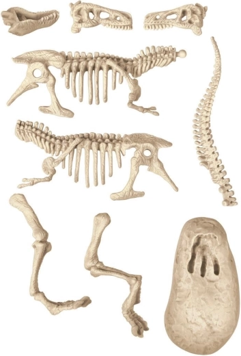 Excava y descubre el T‑Rex