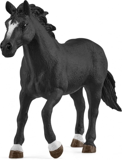 Magnífico caballo Appaloosa