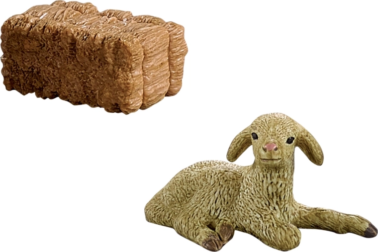 Decorativo y educativo