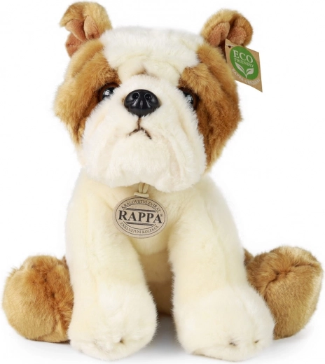 Materiales eco-friendly