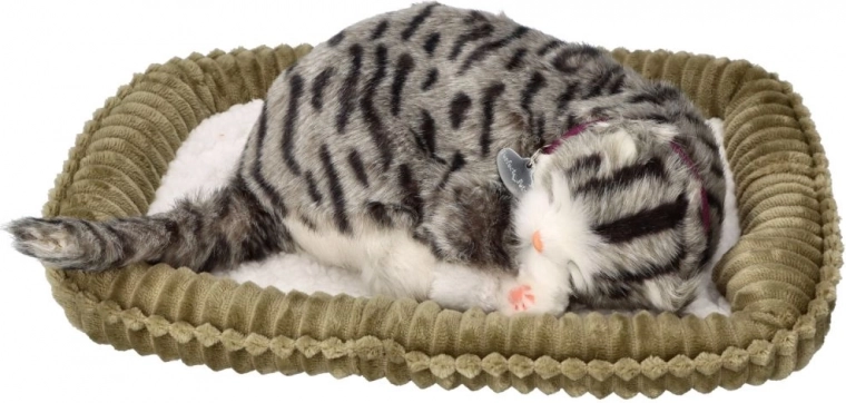 Cama suave para un hogar acogedor