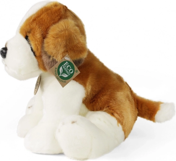 Relleno eco-friendly