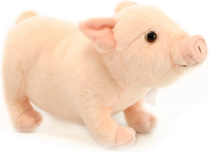 Detalles realistas para más diversión