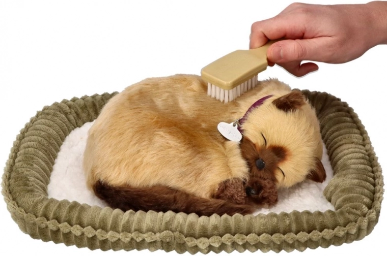 Cuidado y juego con cepillito