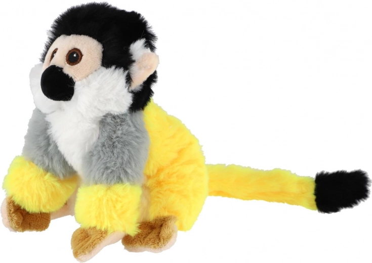 Seguro desde el nacimiento (0m+)