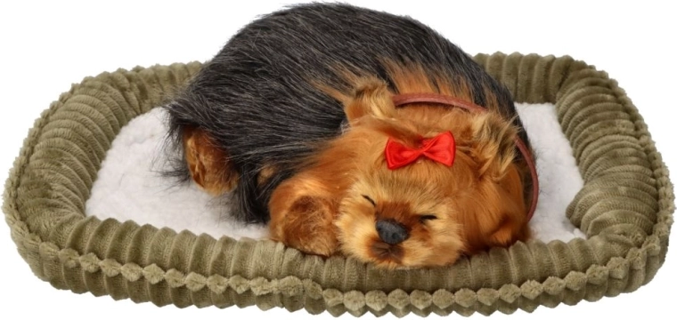 Cuidado sencillo, alegría sin preocupaciones