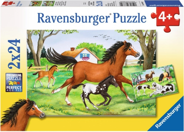 Dos puzzles en uno: 2×24 piezas