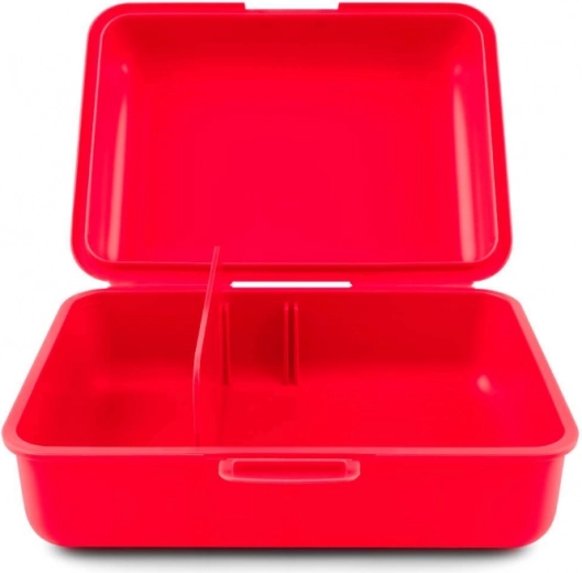 Tabique inteligente para orden dentro de la caja