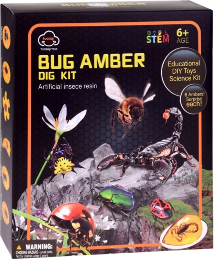 Set educativo completo