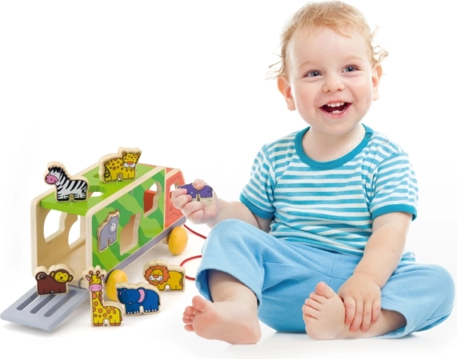 Desarrollo de la motricidad y la coordinación