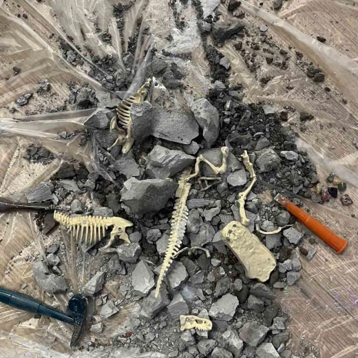 Excavaciones arqueológicas de dinosaurio