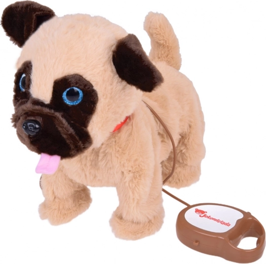 Correa con botones para un control interactivo