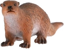 Recurso educativo para clases de ciencias naturales