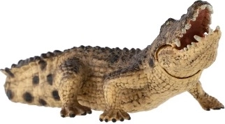 Plástico resistente para el juego diario