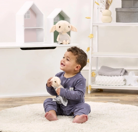 Motivo favorito de Harry Potter